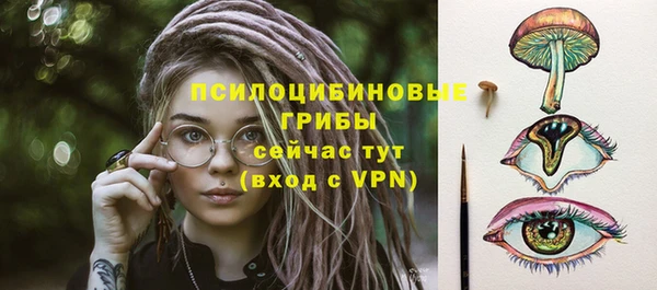 тгк Володарск