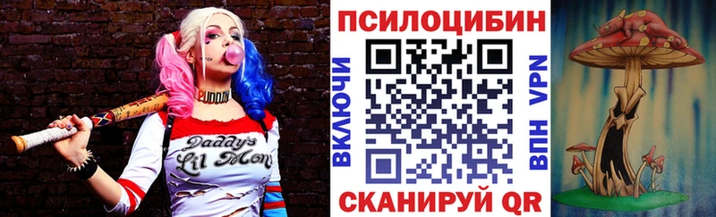 Псилоцибиновые грибы Psilocybe  как найти наркотики  Курск 